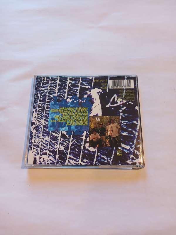 Gin Blossoms, New Miserable Experiance CD, Germany