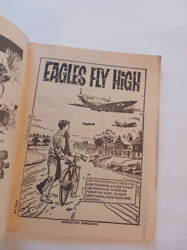 War Picture Library, Eagles Fly High No. 2024