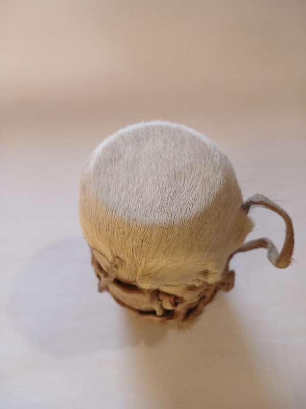 Small African Drum