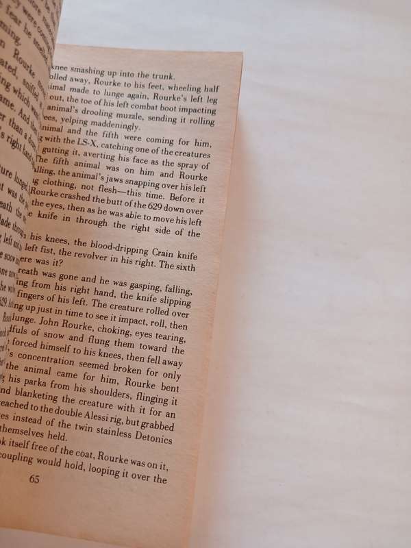 Survivalist, No. 17 The Ordeal by Jerry Ahern
