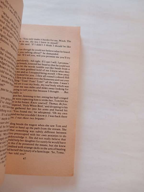 A Tapestry of Time, Volume 3 of the White Bird of Kinship by Richard Cowper