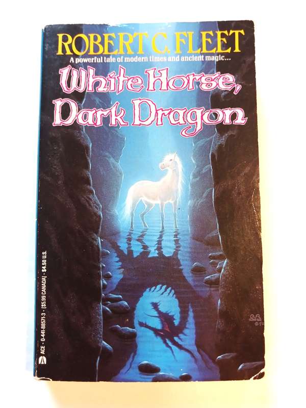 White Horse, Dark Dragon by Robert C. Fleet