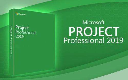 Microsoft Project 2019 Professional