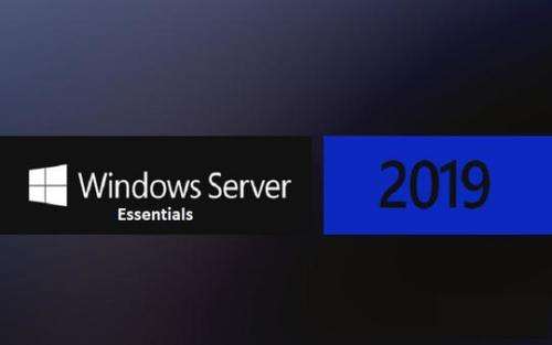 Microsoft Windows Server 2019 Essentials