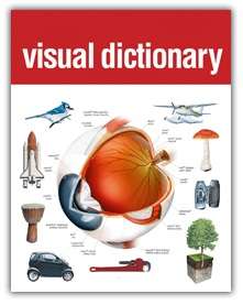Arabic-English Bilingual Visual Dictionary. Learn to speak Arabic today!!!