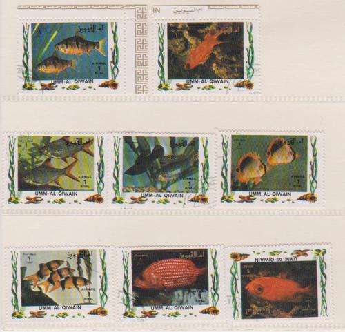Thematic:-   Fish   (as per scan )