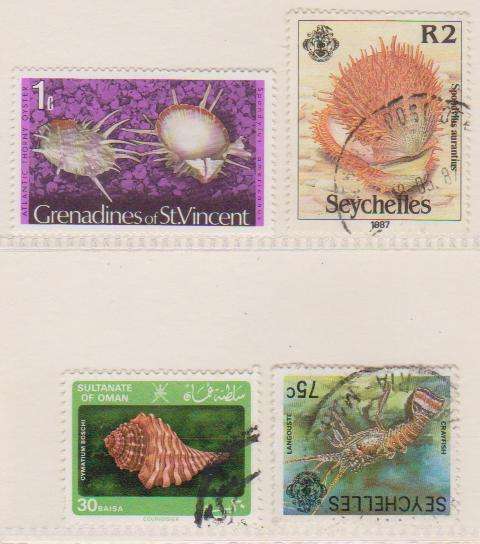 Thematic:-   Sea-Life  (as per scan )