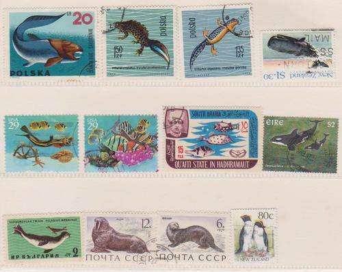 Thematix:  Mix lot of Sea Life (as per scan)