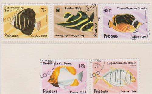 Thematic: Fishes  (as per scan)