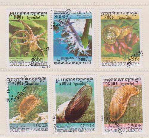 Thematic:-   Sea-Life  (as per scan )