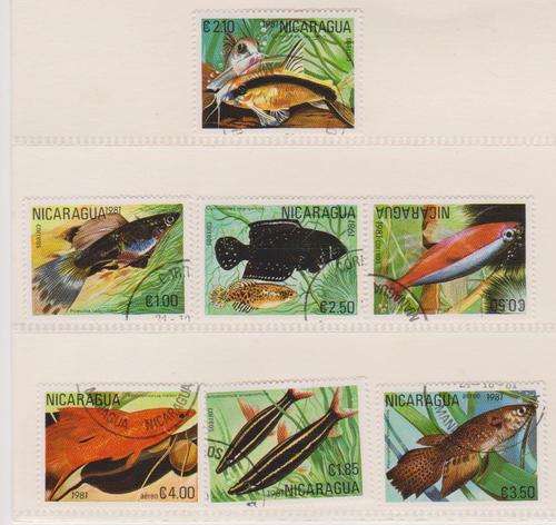 Thematic: Fishes  (as per scan)