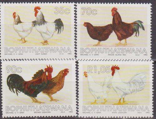 Bop 1993 S.A.C.C. 290-293 "Chicken Breed" Set of 4 M.N.H.