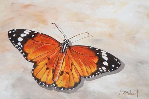 African Monarch