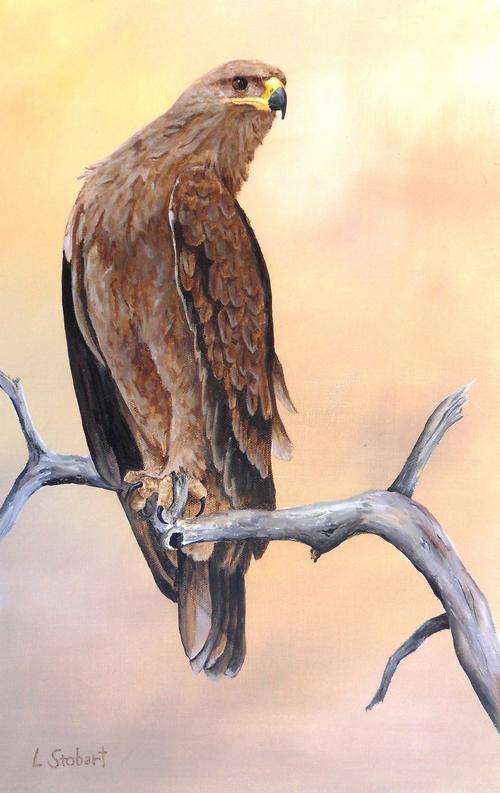 What was that? by Laura Stobart