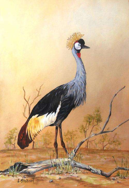 Crowned Crane
