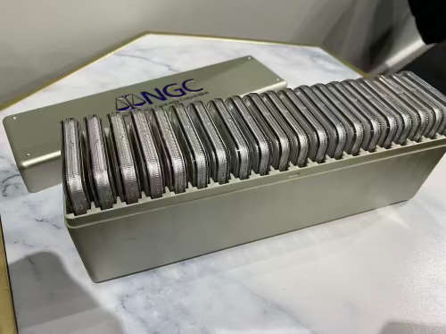 20 x NGC Graded Sequence MS 66 Coins