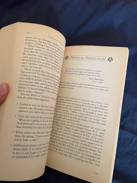Wisdom of the Ages - Wayne W. Dyer