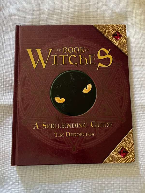 The Book of Witches - a Spellbinding Guide - Tim Dedopulos