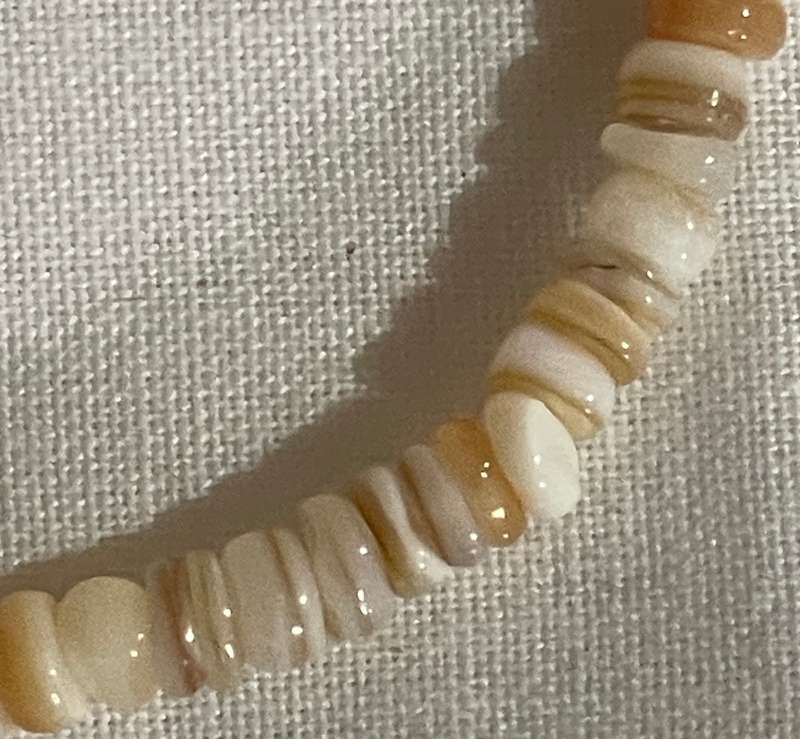 Shell Bracelet - Natural