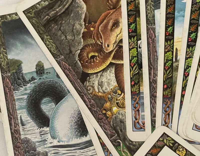 The Druid Animal Oracle - Philip & Stephanie Carr-Gomm