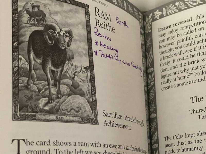 The Druid Animal Oracle - Philip & Stephanie Carr-Gomm