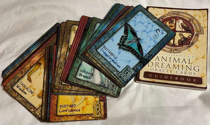 Animal Dreaming Oracle Cards - Scott Alexander King