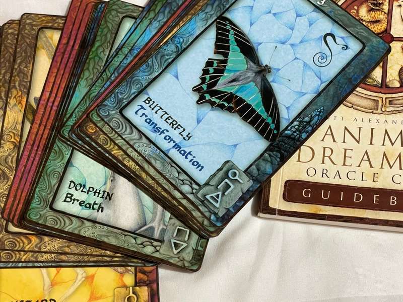 Animal Dreaming Oracle Cards - Scott Alexander King
