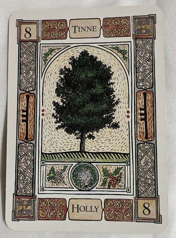 The Celtic Tree Oracle - Liz & Colin Murray