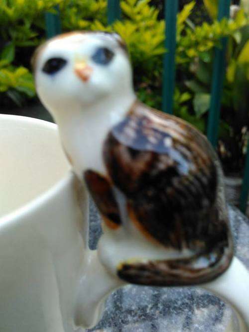 PRETTY UNUSUAL MUG FOR A CAT LOVER - Shows Scottish Fold Flat Eared Cat
