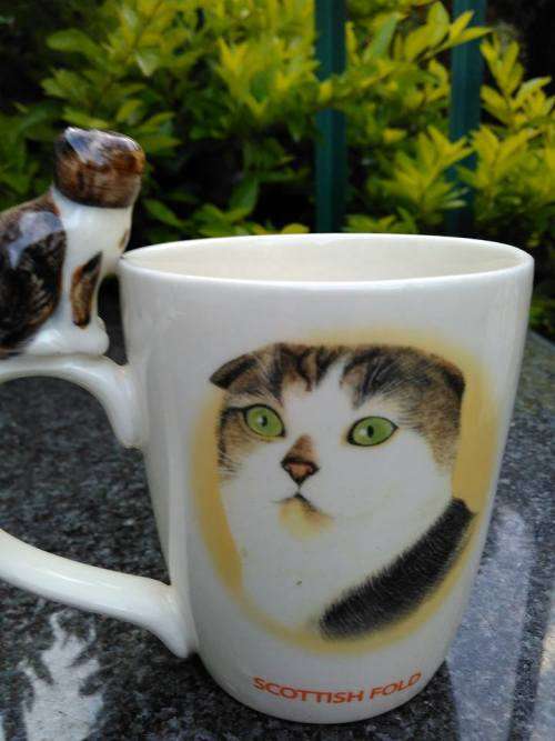 PRETTY UNUSUAL MUG FOR A CAT LOVER - Shows Scottish Fold Flat Eared Cat