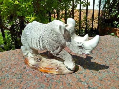 UNUSUAL RHINO ORNAMENT - Amazing texture