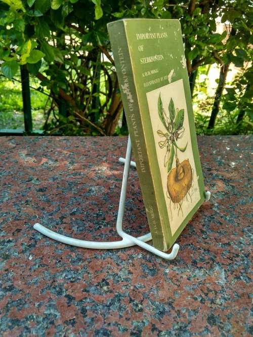 MOGG, A.O.D. - Important Plants of Sterkfontein - (Paperback)