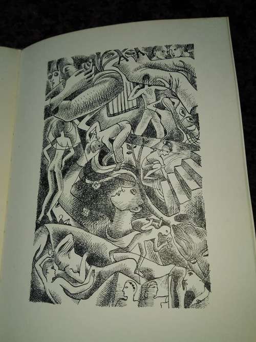 NIENABER, C.J. - Keerweer - [Illustrasies deur Sheila Cussons] - (Sagteband)