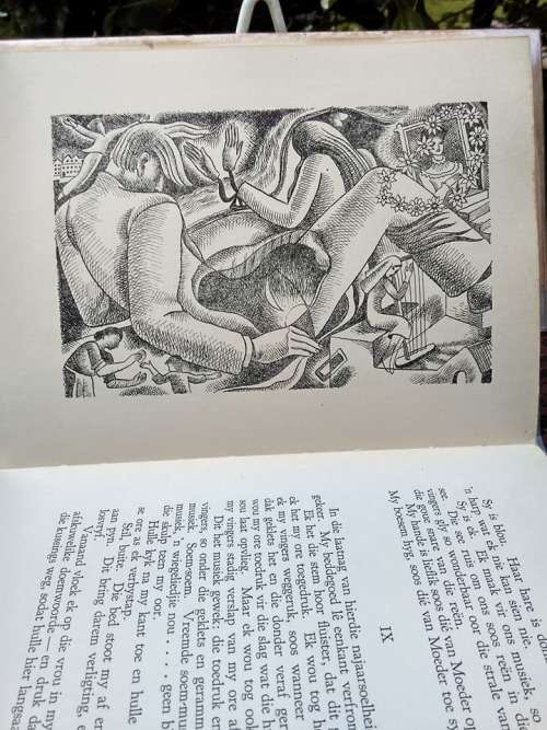 NIENABER, C.J. - Keerweer - [Illustrasies deur Sheila Cussons] - (Sagteband)