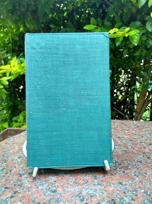 POE, Edgar Allan - The Poems and Some Essays of Edgar Allen Poe - (Hardcover)
