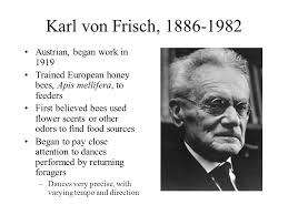 FRISCH, Karl Von - The Dancing Bees: An Account of The Life and Senses of The Honey Bee -(Hardcover)