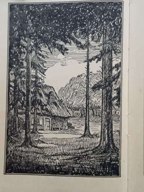 BONSELS, Waldemar - Mario en die Diere - (Hardeband)