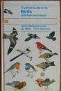 FERGUSON-LEES, James (et al) - The Shell Guide to the Birds of Britain and Ireland - (Hardcover)