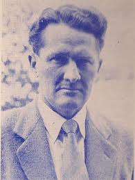 STEYN, Elmar - Ilonka - (Hardeband met Stofomslag)