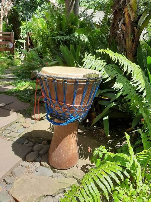 DJEMBE (Senagalese)