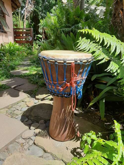 DJEMBE (Senagalese)