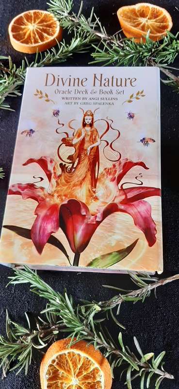 Divine Nature Oracle Deck & Book Set