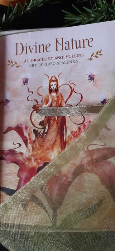 Divine Nature Oracle Deck & Book Set