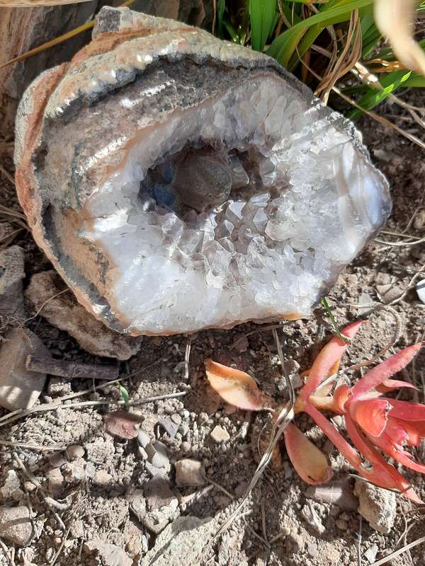 UNUSUAL QUARTZ GEODE WITH DOGTOOTH CRYSTALS