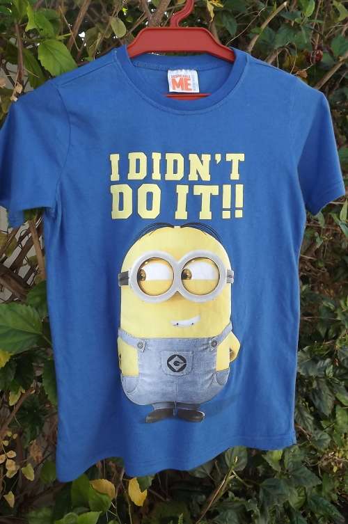 Royal blue DISPICABLE ME logo T-shirt.In 100% cotton. For 6 to 7 years old boy.As new
