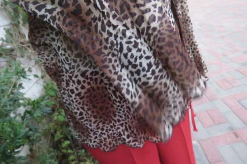 Animal print long sleeve top in brown/beige Size 36/12.by OASIS.Creased polyester.As new