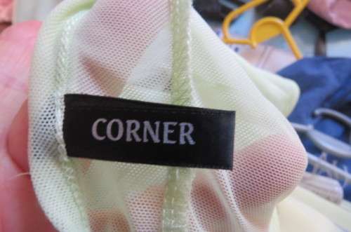 Sheer poly-nylon applegreen sheer top with darker green cami. Size 34