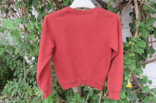 Warm brick colour long sleeve sweather for boy of 10 years old by (&US). In 100% cotton.