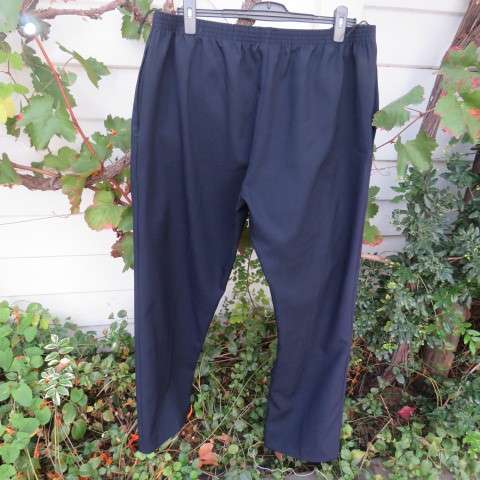 Smart and comfy navy pants with flat front and elasticated back by DUCHESS in size 46/22