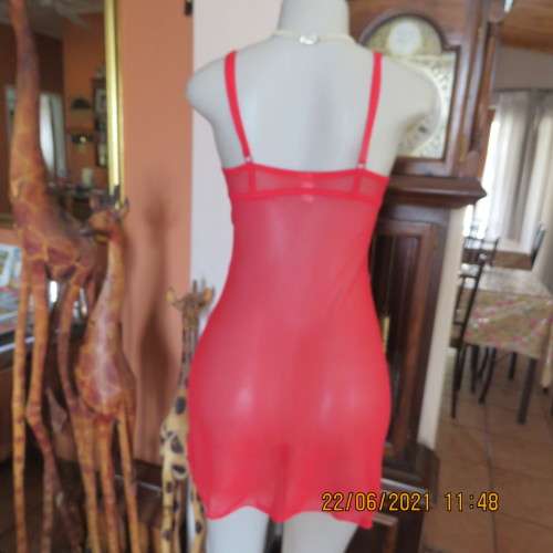 Ultra sexy lingerie. Red size 32 padded bra with adjustable straps and see-through petticoat.As new